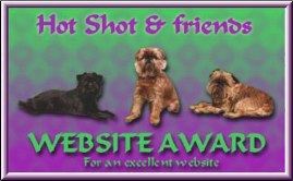 Brussels Griffon website!